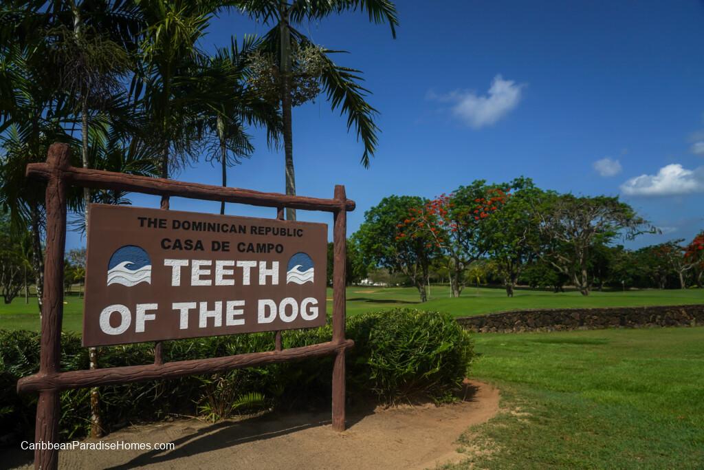 teeth of the dog golf course