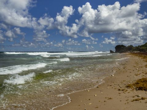 bathsheba beach barbados