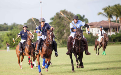 Casa de Campo Equestrian Center & Polo: The Complete 2026 Guide
