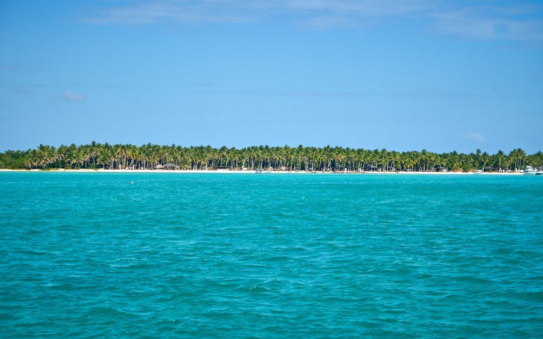Saona & Catalina Island: The Best Day Trips from Casa de Campo (2026 Guide)