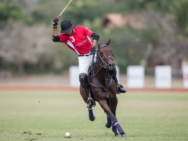 Polo match in the Dominican Republic – polo fields and equestrian activities
