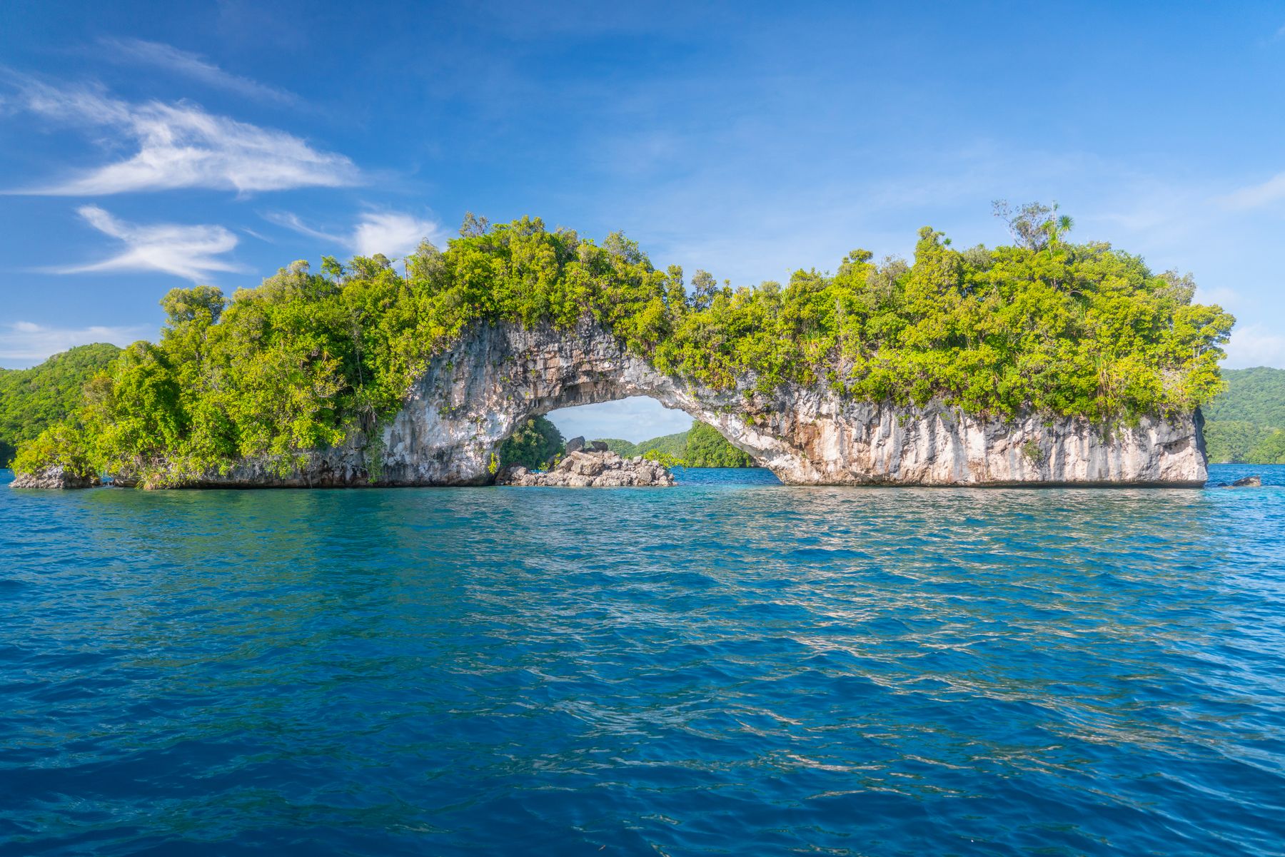 Limestone islets and mangrove forest on the coast of the Dominican Republic
