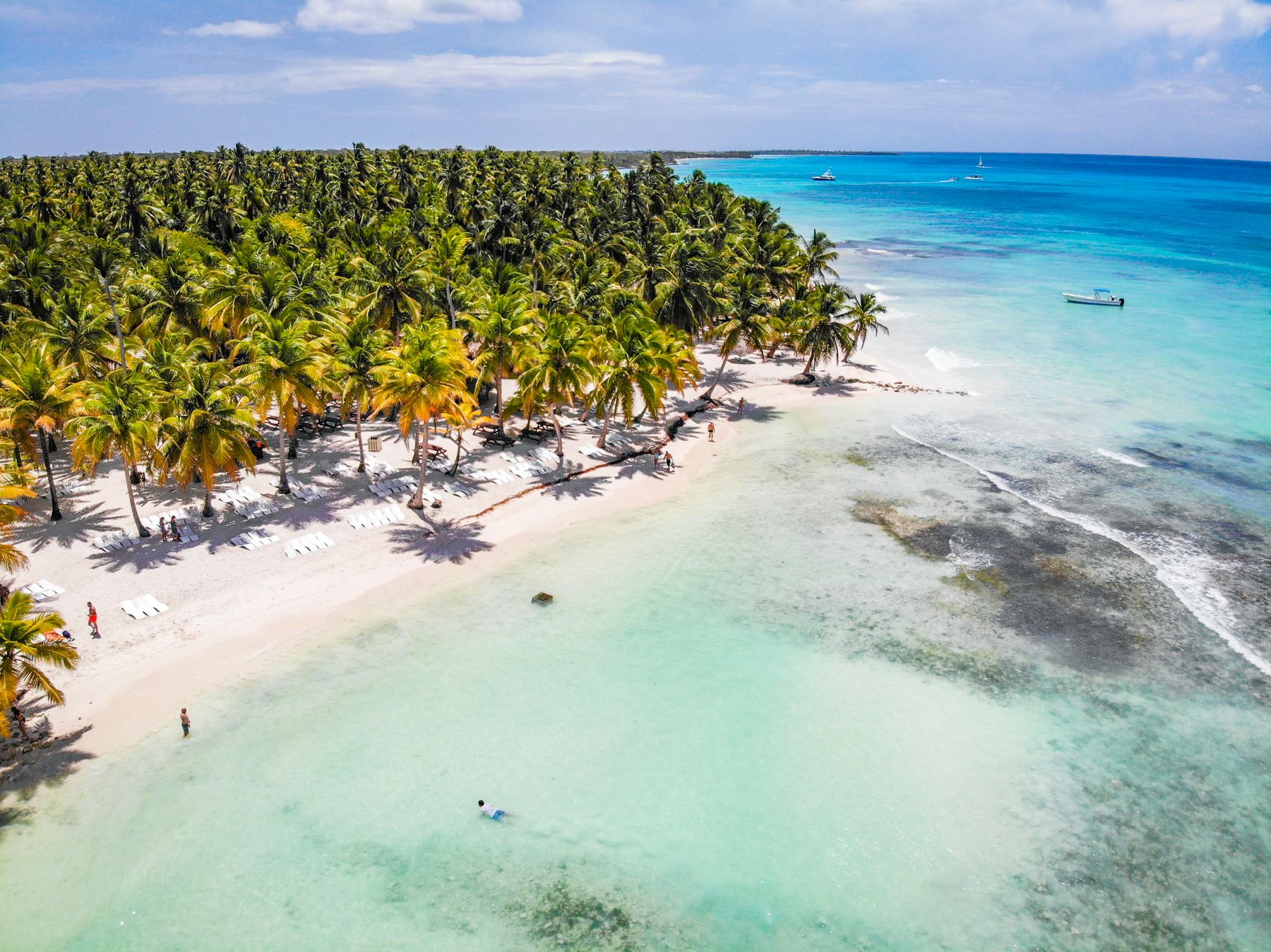 Aerial view of a palm-lined Caribbean beach
